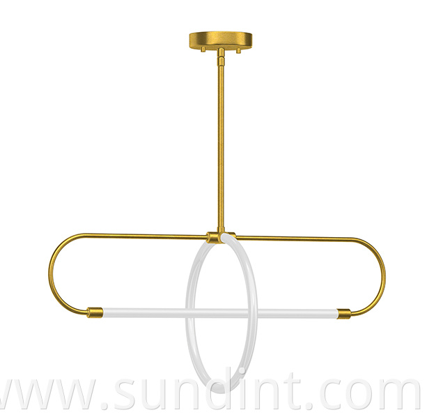 Zdh 4687 2bg Modern Style Pendant Light